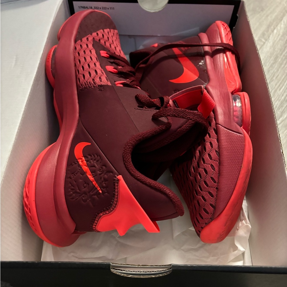 Lebron Witness V Nike sneakers. Gym Red/Bright Crimson